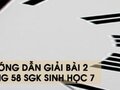Hướng dẫn giải bài 2 trang 58 sgk Sinh học 7