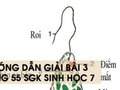Hướng dẫn giải bài 3 trang 55 sgk Sinh học 7