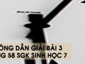 Hướng dẫn giải bài 3 trang 58 sgk Sinh học 7