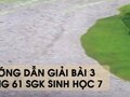 Hướng dẫn giải bài 3 trang 61 sgk Sinh học 7