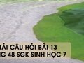 Hướng dẫn trả lời câu hỏi bài 13 trang 48 sgk Sinh học 7