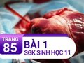 Câu 1 trang 85 SGK Sinh học 11