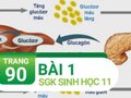 Câu 1 trang 90 SGK Sinh học 11