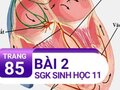 Câu 2 trang 85 SGK Sinh học 11
