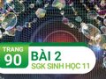 Câu 2 trang 90 SGK Sinh học 11