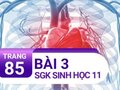 Câu 3 trang 85 SGK Sinh học 11
