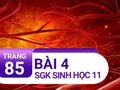 Câu 4 trang 85 SGK Sinh học 11