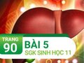 Câu 5 trang 90 SGK Sinh học 11