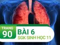 Câu 6 trang 90 SGK Sinh học 11