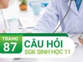Câu hỏi thảo luận trang 87 SGK Sinh học 11
