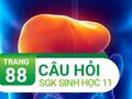 Câu hỏi thảo luận trang 88 SGK Sinh 11
