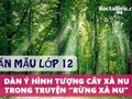 Dàn ý phân tích hình tượng cây xà nu trong truyện Rừng xà nu