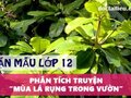 Phân tích truyện Mùa lá rụng trong vườn (Ma Văn Kháng)
