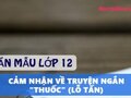 Cảm nhận về truyện ngắn Thuốc (Lỗ Tấn) - Văn mẫu lớp 12