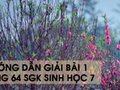 Hướng dẫn giải bài 1 trang 64 sgk Sinh học 7