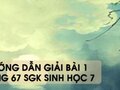 Hướng dẫn giải bài 1 trang 67 sgk Sinh học 7