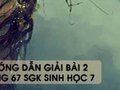 Hướng dẫn giải bài 2 trang 67 sgk Sinh học 7
