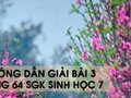 Hướng dẫn giải bài 3 trang 64 sgk Sinh học 7