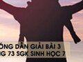 Hướng dẫn giải bài 3 trang 73 sgk Sinh học 7
