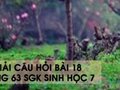 Hướng dẫn trả lời câu hỏi bài 18 trang 63 sgk Sinh học 7