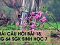 Hướng dẫn trả lời câu hỏi bài 18 trang 64 sgk Sinh học 7