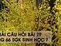 Hướng dẫn trả lời câu hỏi bài 19 trang 66 sgk Sinh học 7