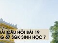 Hướng dẫn trả lời câu hỏi bài 19 trang 67 sgk Sinh học 7