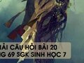 Hướng dẫn trả lời câu hỏi bài 20 trang 69 sgk Sinh học 7