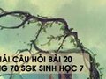 Hướng dẫn trả lời câu hỏi bài 20 trang 70 sgk Sinh học 7