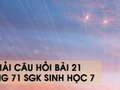 Hướng dẫn trả lời câu hỏi bài 21 trang 71 sgk Sinh học 7