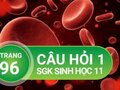Câu hỏi thảo luận 1 trang 96 SGK Sinh 11