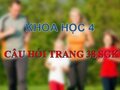 Trả lời câu hỏi trang 38 SGK Khoa học 4