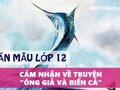 Cảm nhận về truyện Ông già và biển cả
