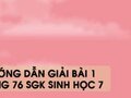 Bài 1 trang 76 sgk Sinh học 7