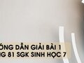 Hướng dẫn giải bài 1 trang 81 sgk Sinh học 7