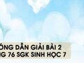 Hướng dẫn giải bài 2 trang 76 sgk Sinh học 7