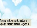Hướng dẫn giải bài 2 trang 81 sgk Sinh học 7