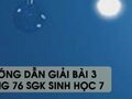 Hướng dẫn giải bài 3 trang 76 sgk Sinh học 7