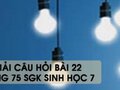 Hướng dẫn trả lời câu hỏi bài 22 trang 75 sgk Sinh học 7
