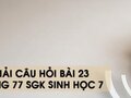 Hướng dẫn trả lời câu hỏi bài 23 trang 77 sgk Sinh học 7