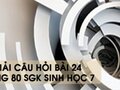 Hướng dẫn trả lời câu hỏi bài 24 trang 80 sgk Sinh học 7