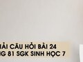 Hướng dẫn trả lời câu hỏi bài 24 trang 81 sgk Sinh học 7