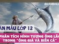 Phân tích hình tượng ông lão trong Ông già và biển cả