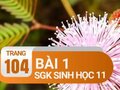 Câu 1 trang 104 SGK Sinh học 11