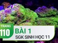Câu 1 trang 110 SGK Sinh học 11