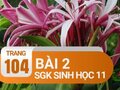 Câu 2 trang 104 SGK Sinh học 11
