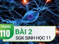 Câu 2 trang 110 SGK Sinh học 11