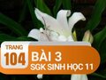 Câu 3 trang 104 SGK Sinh học 11