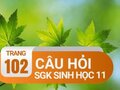 Câu hỏi thảo luận trang 102 SGK Sinh 11