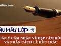 Dàn ý vẻ đẹp tâm hồn và nhân cách của Lê Hữu Trác